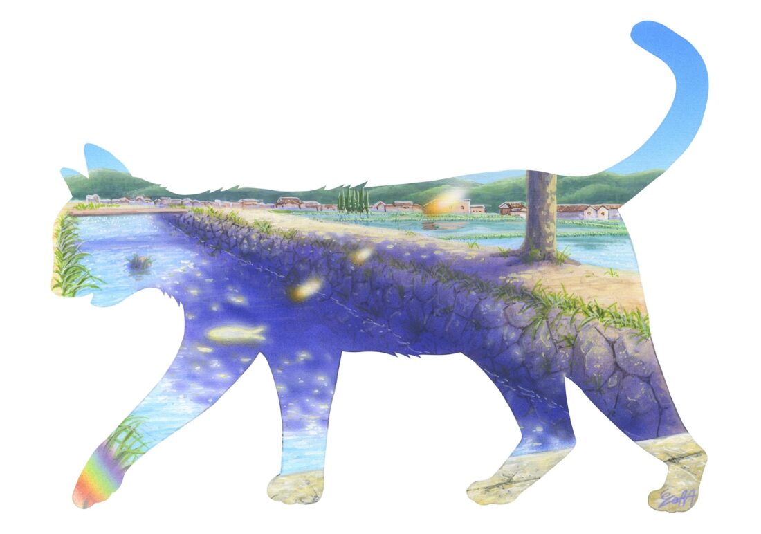 ひかるさかな