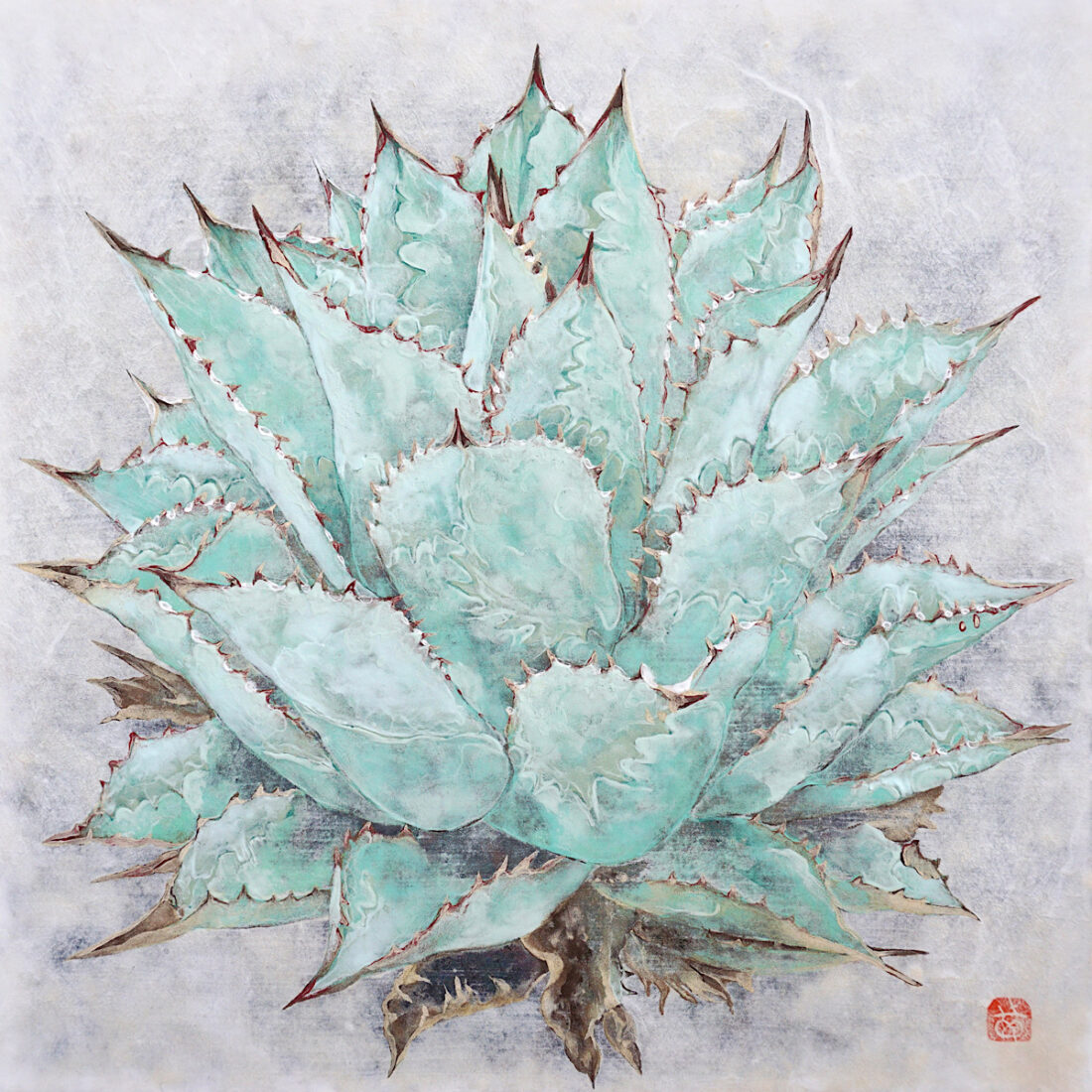 agave
