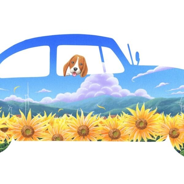 夏が満開だね