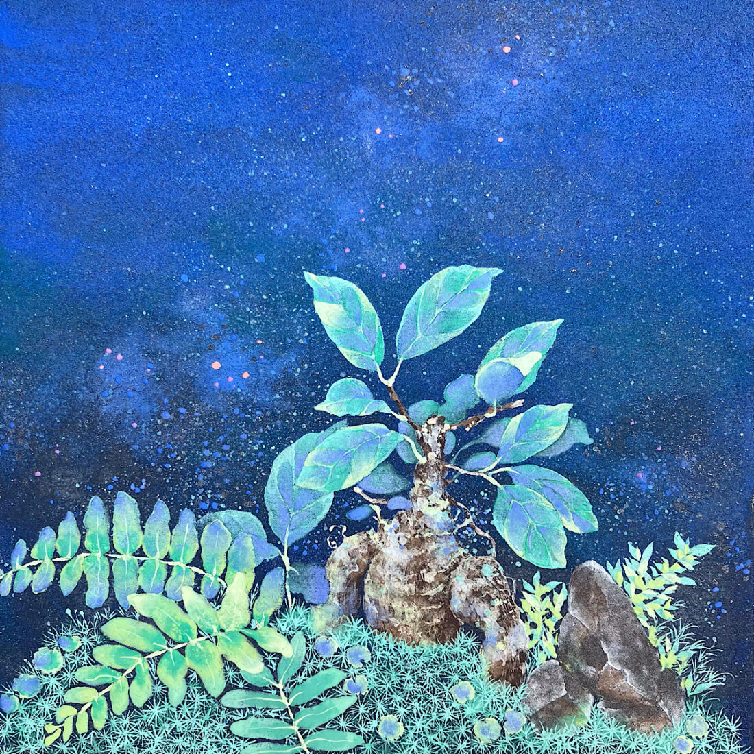 cosmos