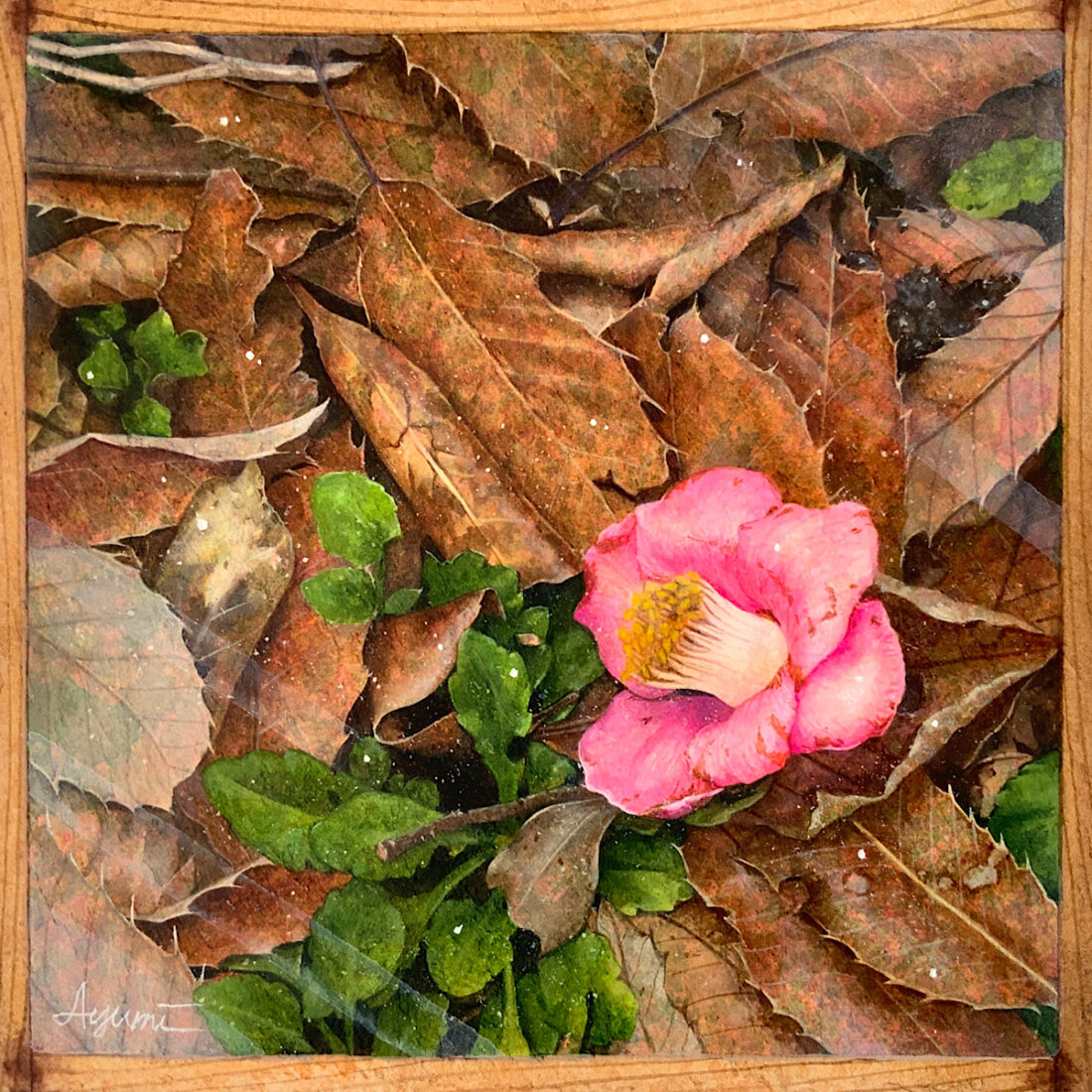 hydroscope -さやめき-