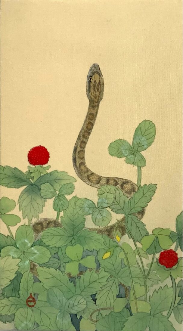サトメグリの子