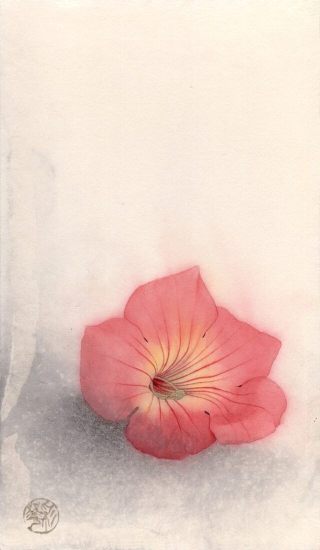 空を凌ぐ花