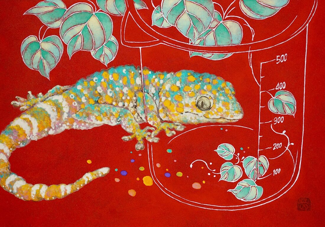 Gekko gecko 02
