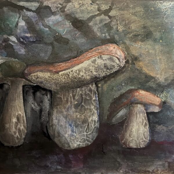 NO.108 松島 央汰 こぶたきのこ