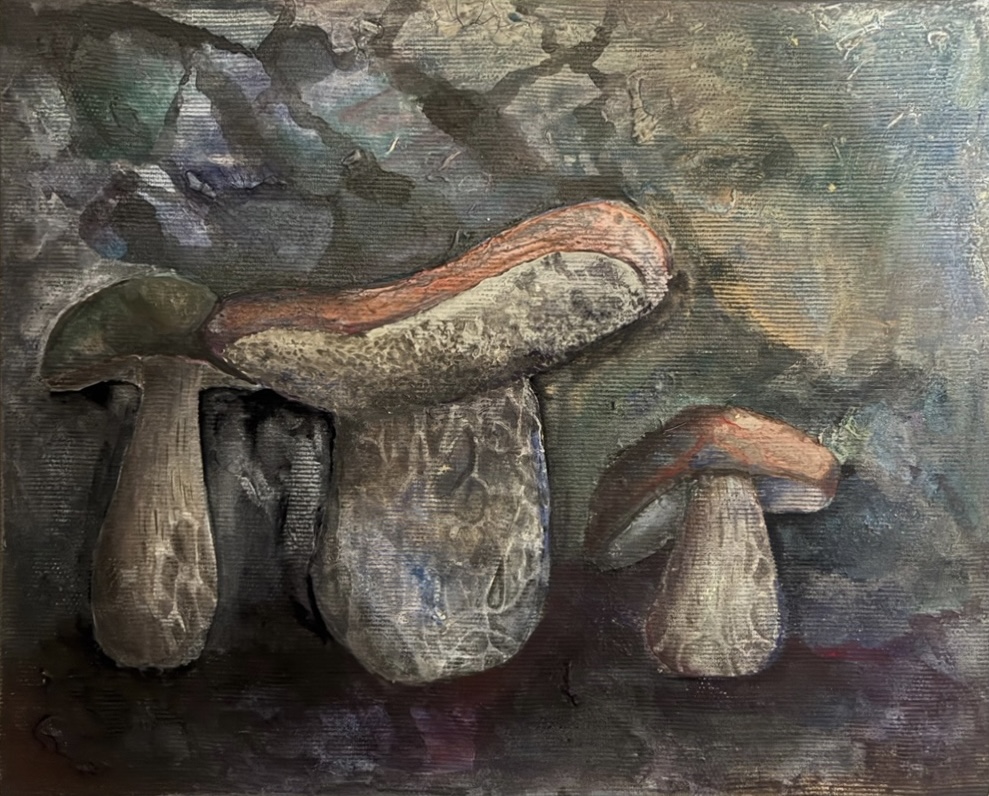 NO.108　松島 央汰　こぶたきのこ