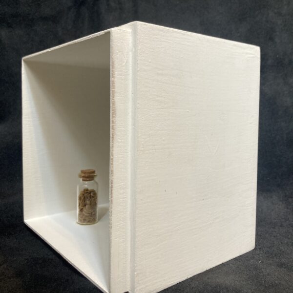 NO.111　鈴江 龍雅　ヒミツバコ00000007