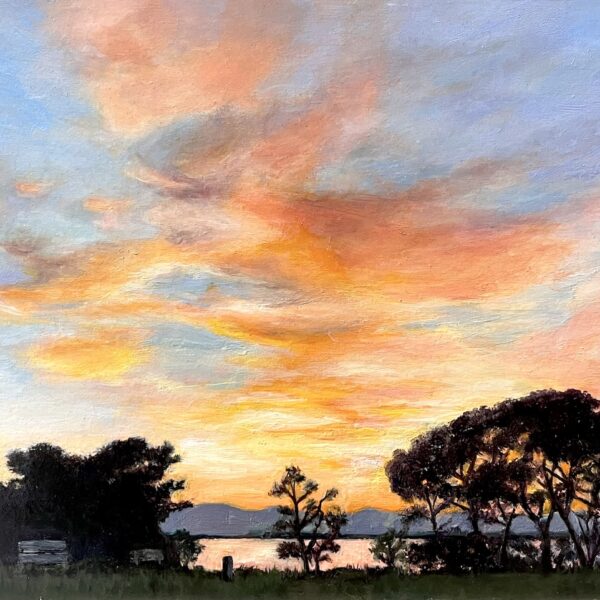 NO.113 きら 静かな帰路