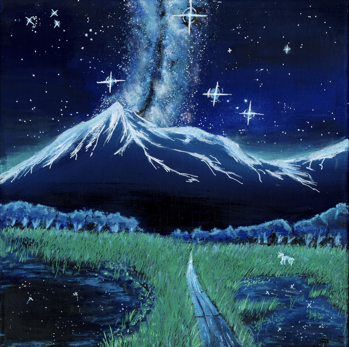 NO.125　Riseru　星灯りの小径