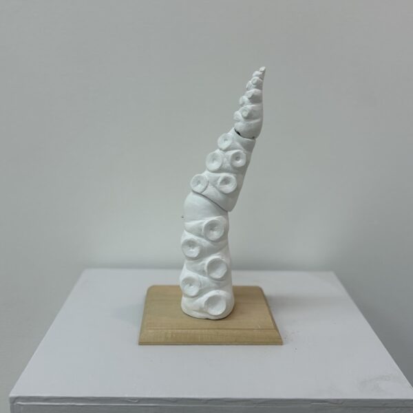 NO.126 近藤 真奈 蛸足