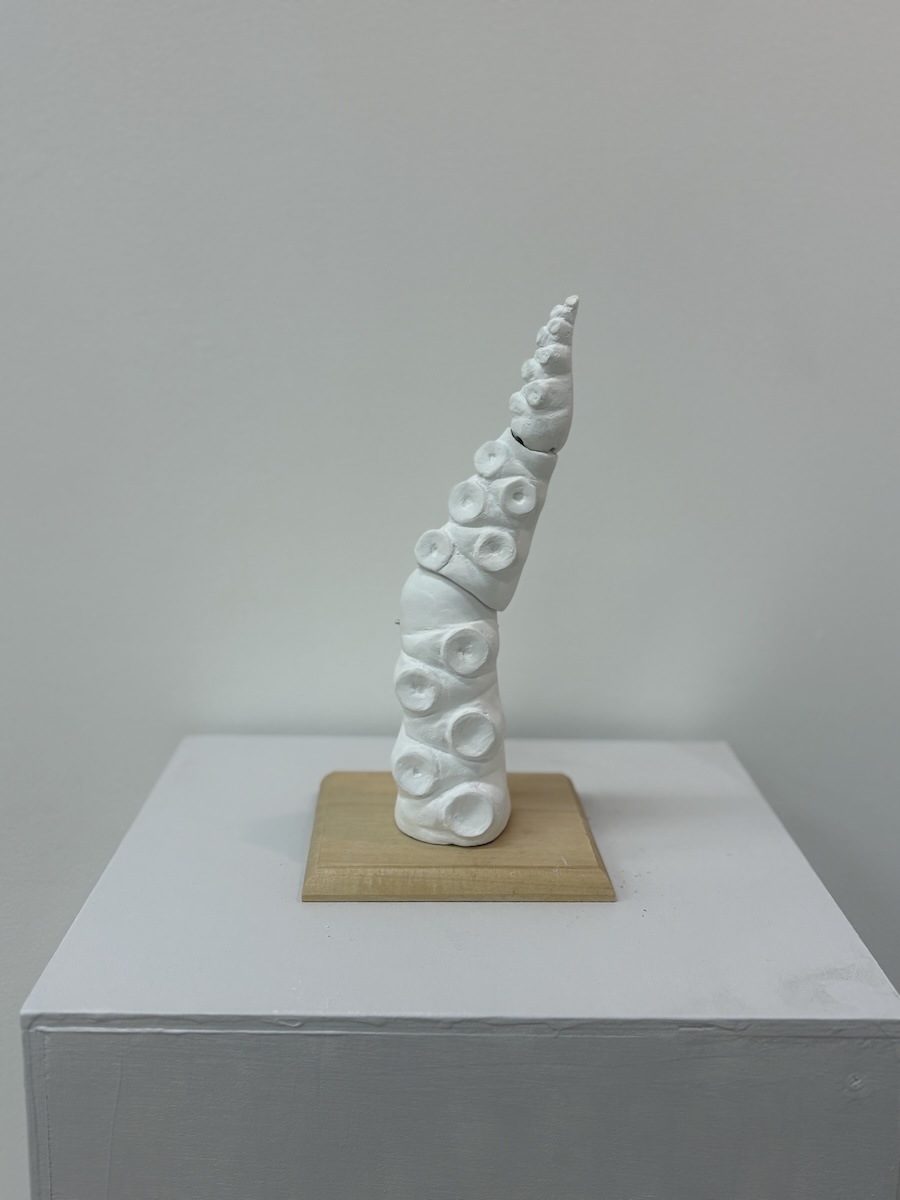 NO.126　近藤 真奈　蛸足