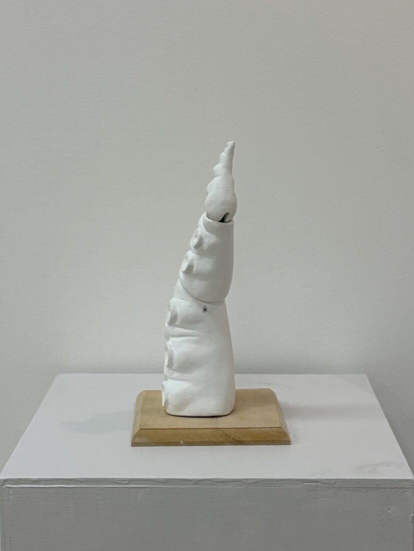 NO.126　近藤 真奈　蛸足