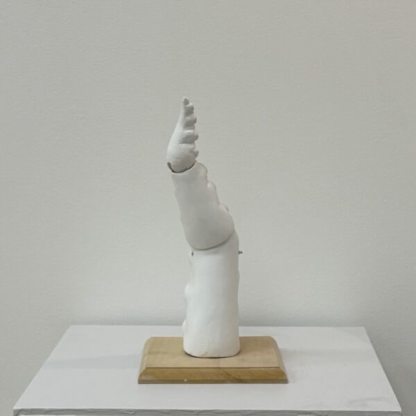 NO.126　近藤 真奈　蛸足