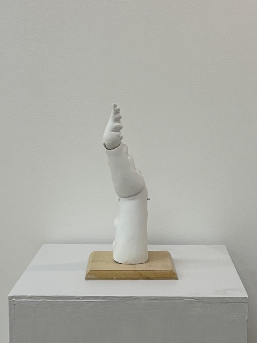 NO.126　近藤 真奈　蛸足