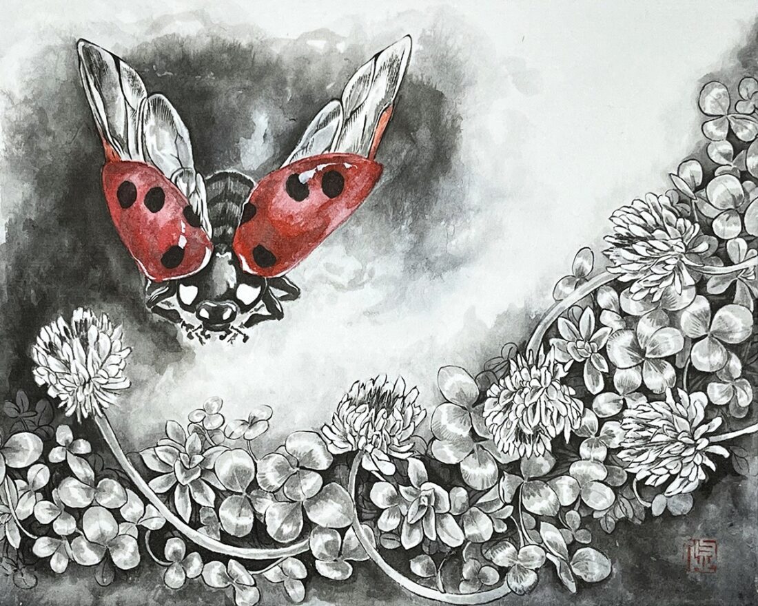 NO.24 山谷悠地 天道虫