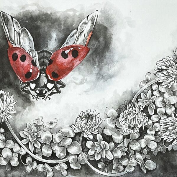 NO.24 山谷悠地 天道虫