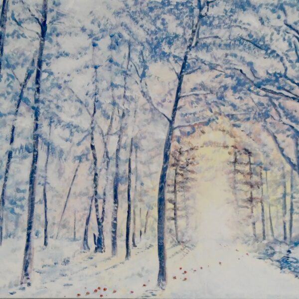 NO.62 冬乃太陽 時のおとしもの