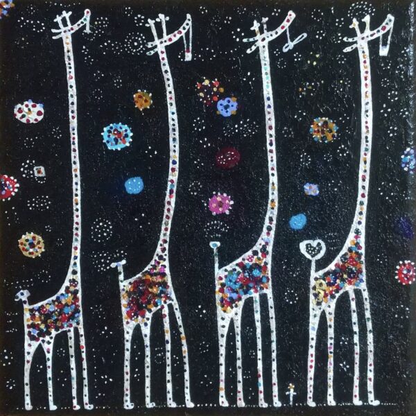 NO.75 川瀬 大樹 giraffe星空シンフォニー