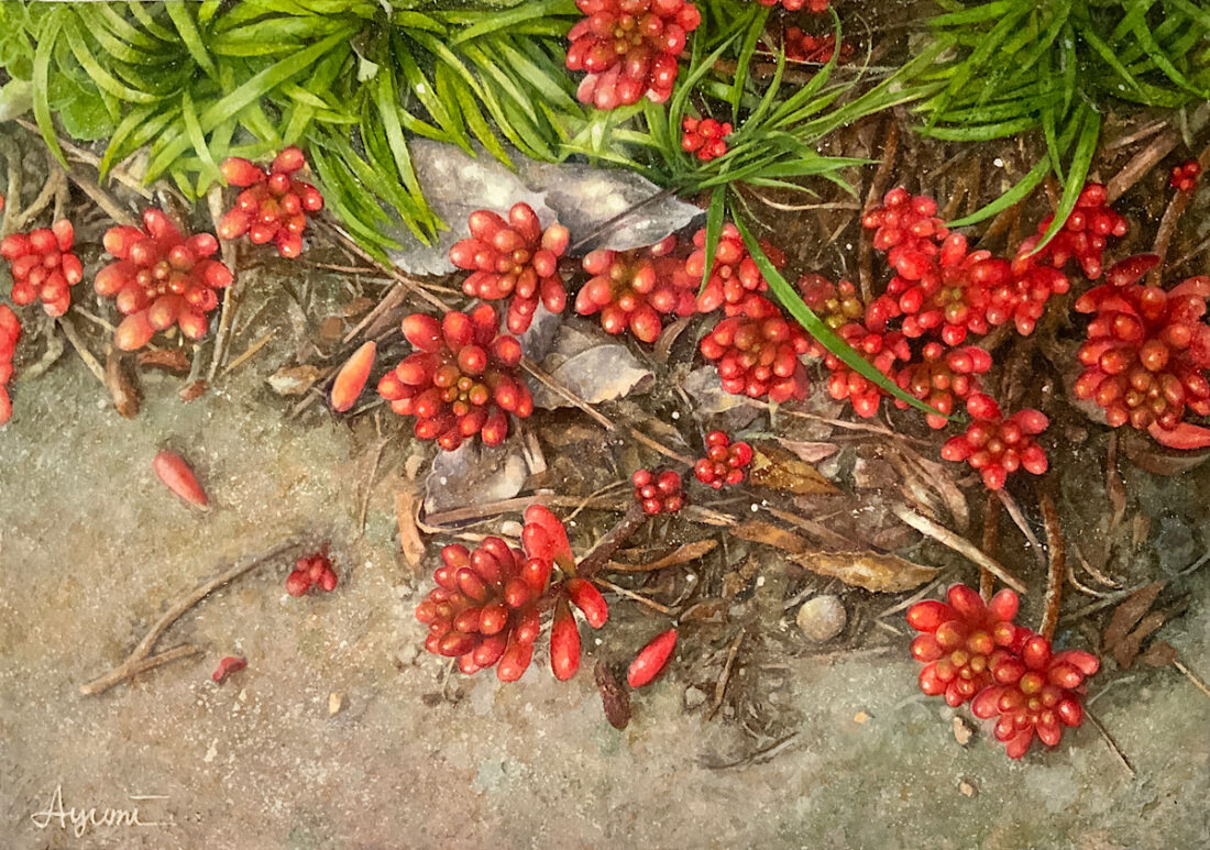 ひかりのこぼれ道