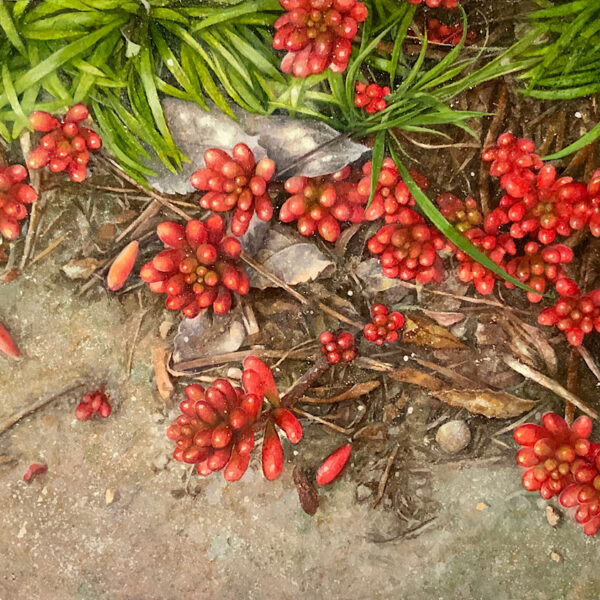 ひかりのこぼれ道