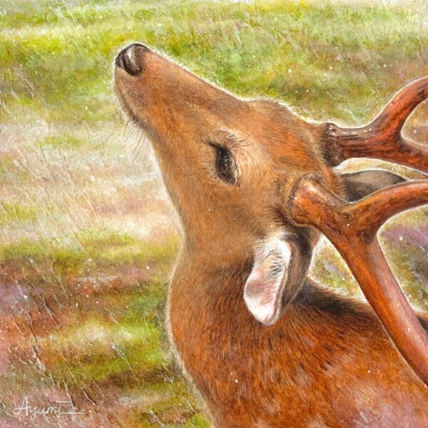 こもれびのmelody