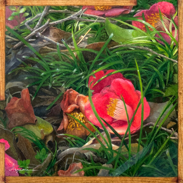 hydroscope: stray -明瞭-